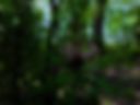 Public masturbation of pink pussy in the forest