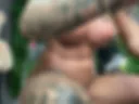 Double penetration and fountain squirt