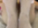 I was horny and I got wet for you