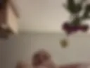 Ass2