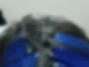 blowjob and start of sex