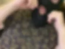 Dans blowjob