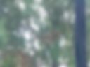 Видео 10
