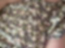 exposed nipples