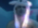 Hai