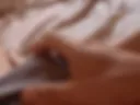 Utro