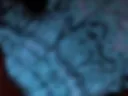 SexxyPussy