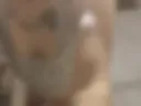 all