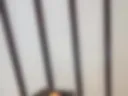 Play with tits