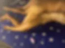I cum on my wife