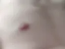 Hi456