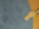 BEAUTIFUL COCK