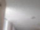 Olala