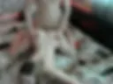 трах раком