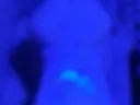 blowjob2