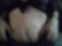 Zoom chatte poilue et je m'essuie la mouille donc tout e propre ahah