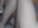 gambe