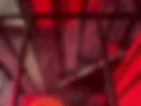 I found a cocksucking Slave in the cage! Look how shes doing shes job!