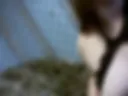 Cum on face 2026