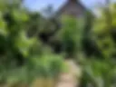 In the garden