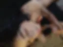 POV blowjob with kamehouse slut