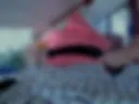 horse dildo