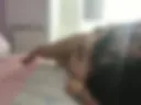 Pm