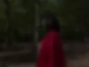 Forest Play