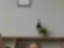 Blowjob with masturbation