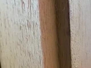 Has anyone spied me in my room, would you be?