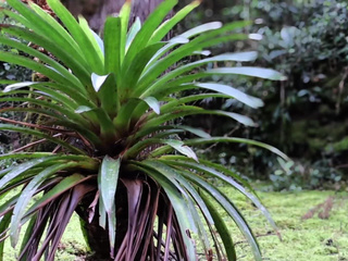 Come get your dose of luck