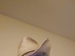 Hi
