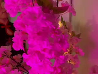 I'll be your Sakura blossom
