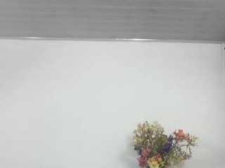SHOW SEXY DANSE