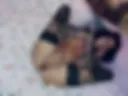 viki