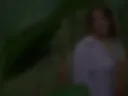 Between leaves and sighs