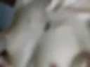 Moans&Tits