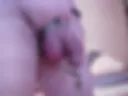 Anal hook and urethral cock cage
