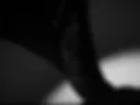 Wild girl full video!
