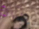 5 Minutes Full of Sex, Cum And A LOT OF DESIRE