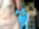 ride dildo and lush clit orgasm