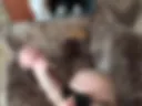 Pp