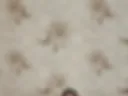Sexy pussy loves to play. Part 1
