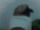 Booty and asshole