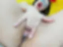CUM CREAM PUSSY