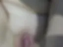 AEEC