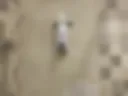 Horny in shower