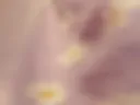My pussy is on your face
