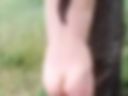 Priroda