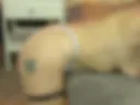 2.0 horny tease